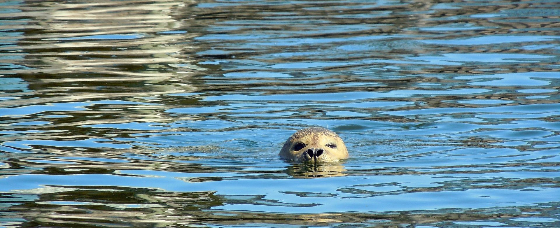 Wassergymnastik abnehmen